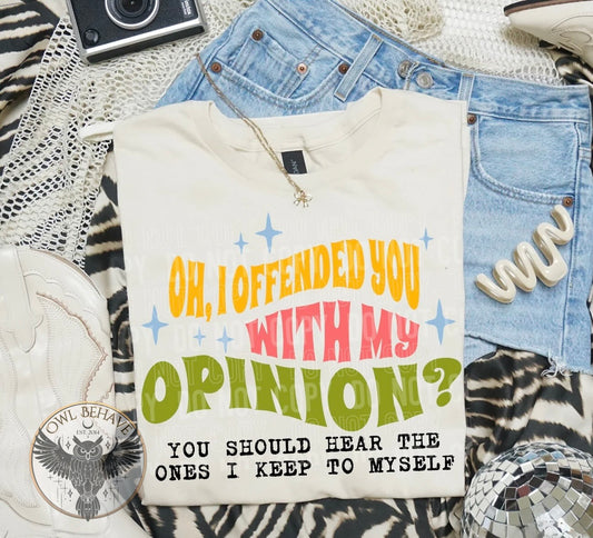 Oh I Offended You With My Opinion