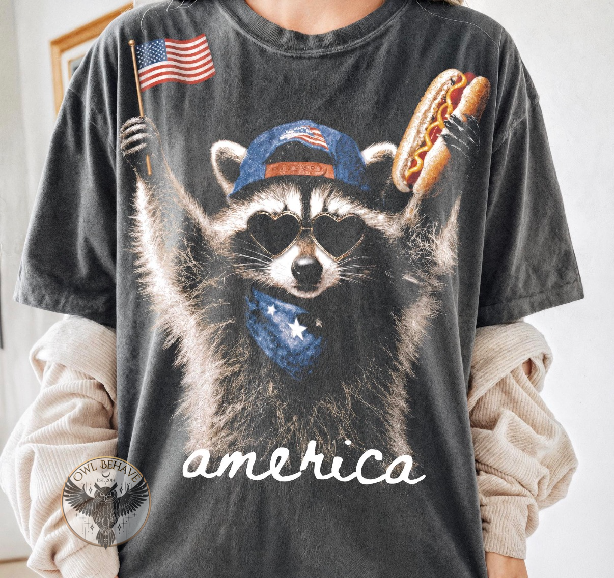 America Raccoon
