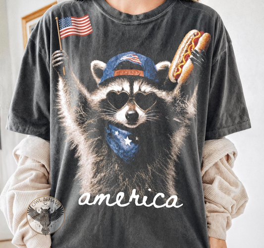 America Raccoon