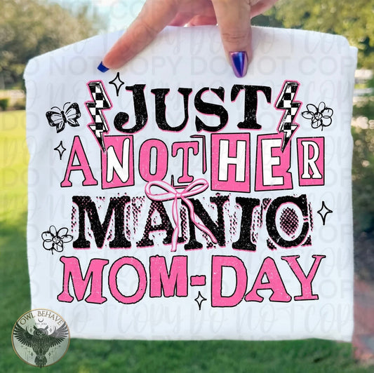 Just Another Manic Mom Day
