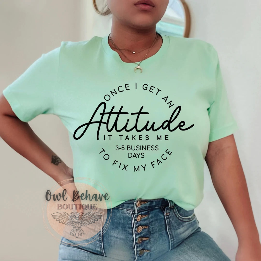 Once I Get An Attitude Adult T-Shirt